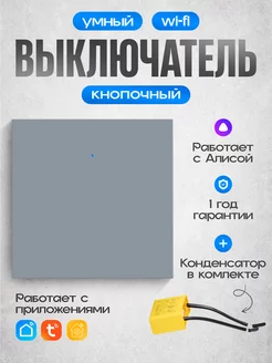 Умный кнопочный WI-FI выключатель с Алисой одноклавишный