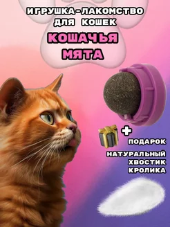 Кошачья мята шарик на стену