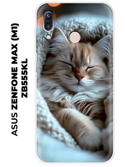 Чехол на ASUS Zenfone Max (M1) ZB555KL