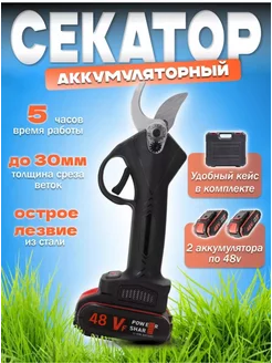 Секатор сучкорез аккумуляторный бесщеточный 21B