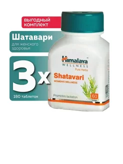 Shatavari Шатавари Хималая 180 таб Himalaya Drug Co 234602009 купить за 1 056 ₽ в интернет-магазине Wildberries