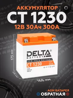 Аккумулятор для мотоцикла CT 1230, 12V 30Ah