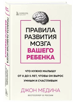 Правила развития мозга вашего ребёнка