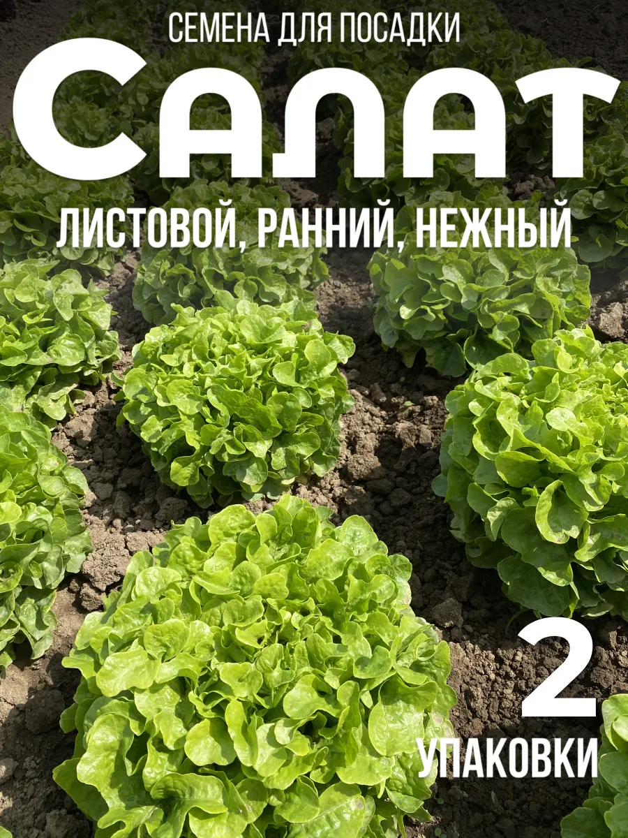 Салат семена 2 упаковки