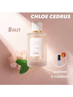 Chloe Atelier Des Fleurs Cedrus духи хлое цедрус 5 мл Chloe 234973403 купить за 1 773 ₽ в интернет-магазине Wildberries