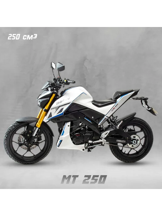 Мотоцикл дорожный Motoland MT 250 (172FMM-5 PR250) (XL250-F), черный
