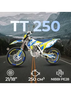 Мотоцикл Кросс TT 250 (172FMM) с ПТС