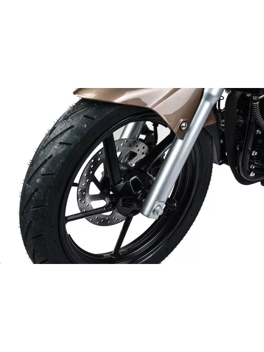 Motoland Мотоцикл BANDIT (175 FMM) 300 куб.см. 25 л.с, 25 л, фото 3
