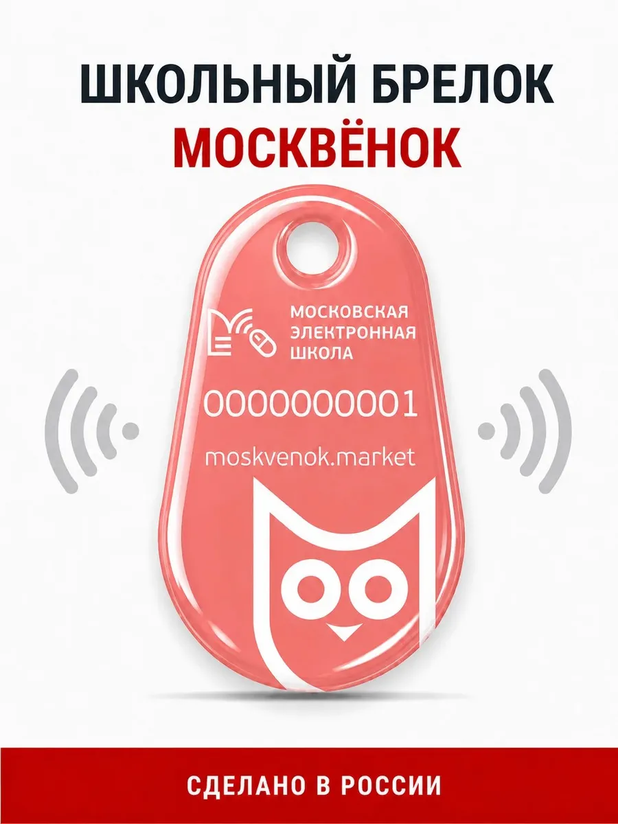 Электронный брелок пропуск в школу Москвёнок