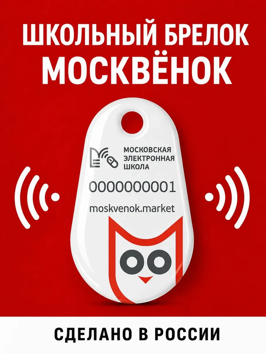 Электронный брелок пропуск в школу
