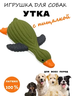 Игрушка для собак утка