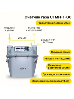 Счетчик газа СГМН-1-G6 200 мм