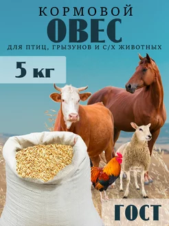 Овес корм для животных и птиц 5кг