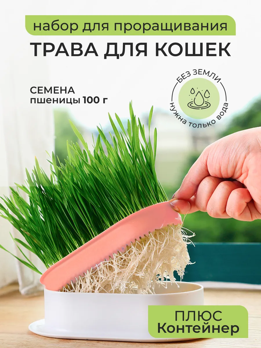 Трава для кошек проращиватель миска