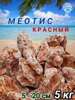 Песчаник для аквариума. Меотис Крымский Ракушечник 5кг Море Минералов 235133723 купить за 1 578 ₽ в интернет-магазине Wildberries