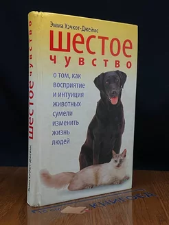 Шестое чувство