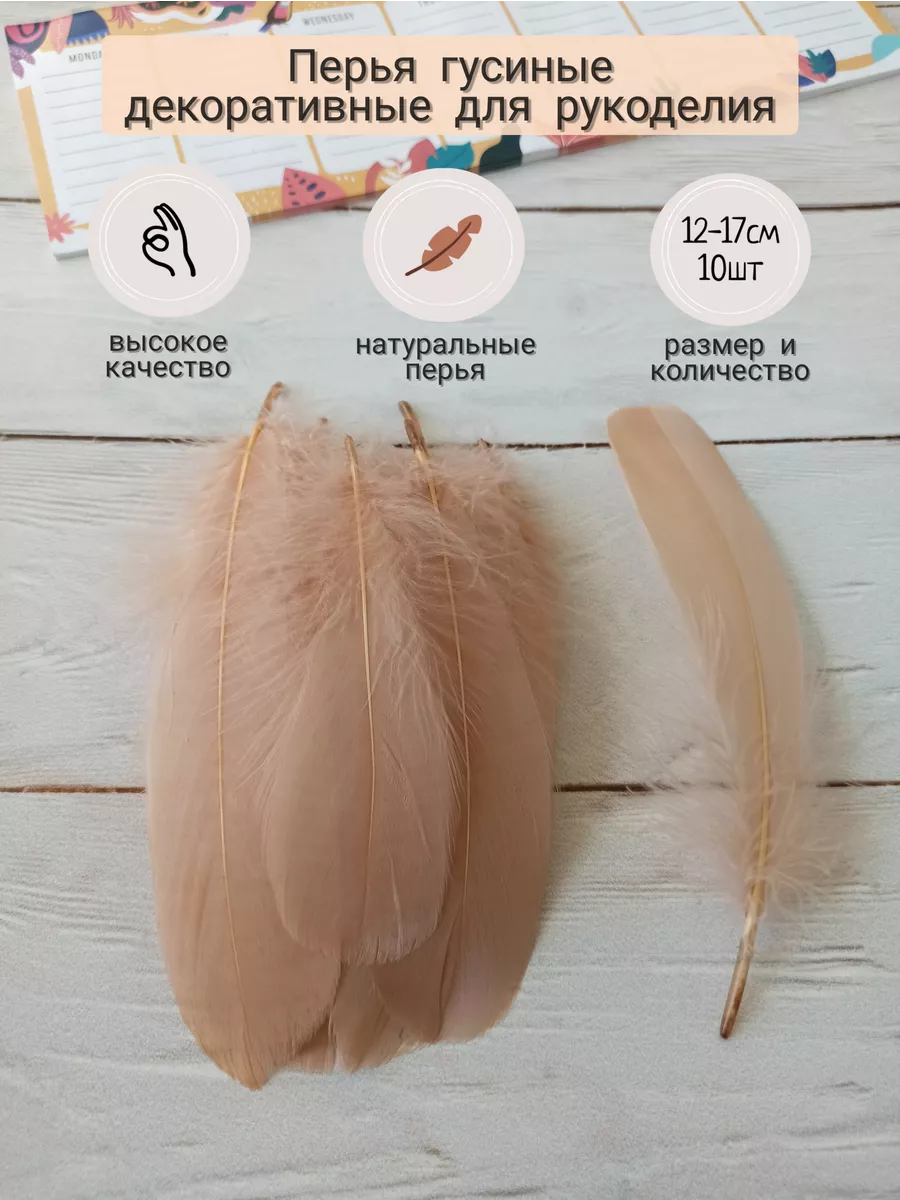 Перья гусиные для рукоделия и творчества 12-17см 10шт