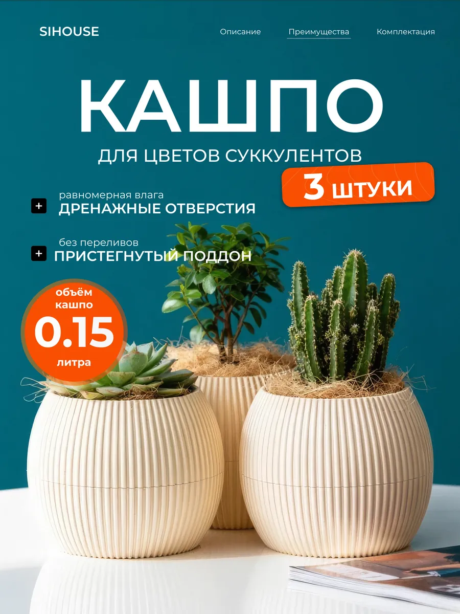 Кашпо для суккулентов и кактусов 0.15 л 3 шт