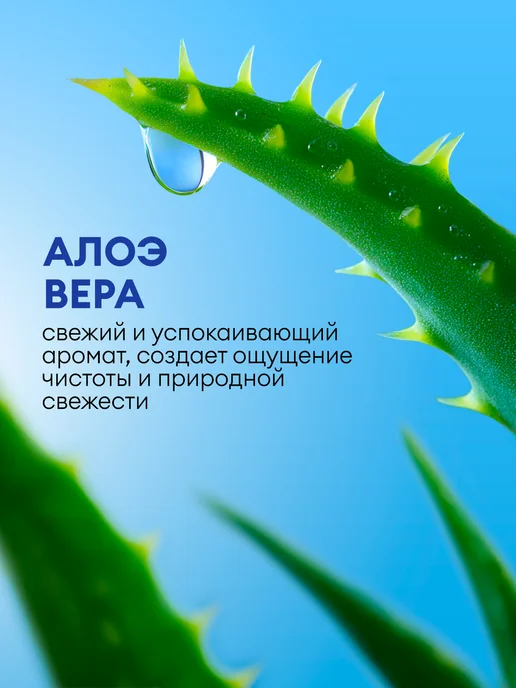 GRASS Средство для мытья посуды 5 литров LAUN алоэ, вариант, фото 2