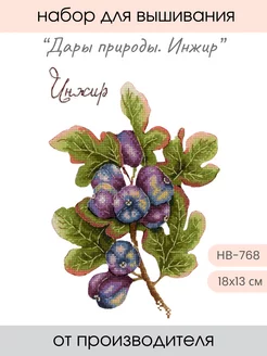 Набор для вышивания крестиком Дары природы. Инжир М.П. Студия 235351978 купить за 620 ₽ в интернет‑магазине Wildberries