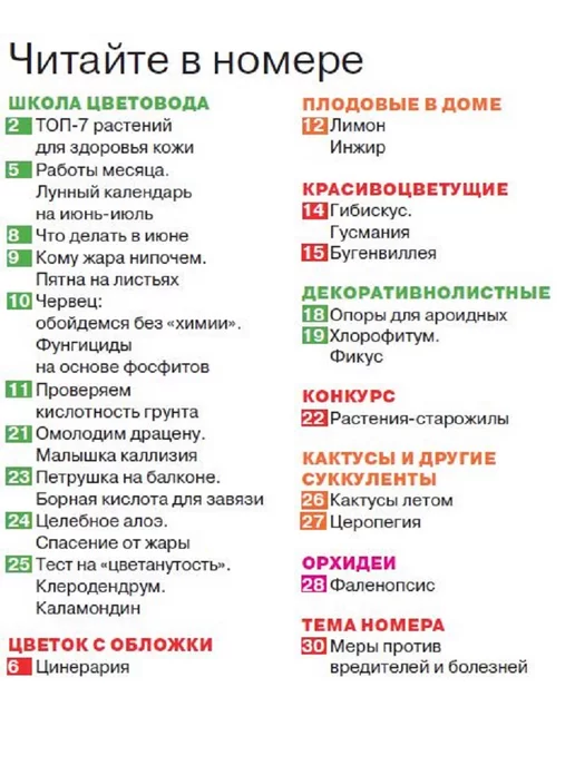 Домашние цветы журнал. Комнатные растения. №6 24. Цинерария, вариант, фото 2