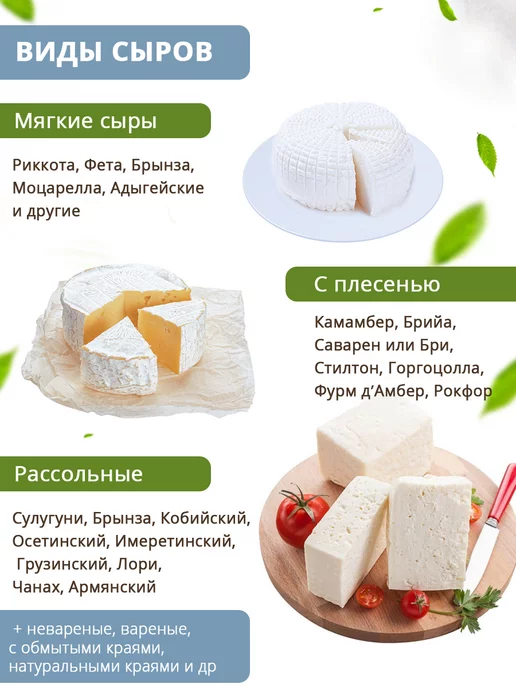Zapas Форма для сыра и творога с закваской на 22 см, вариант, фото 7
