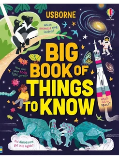 Big Book of Things to Know детская книга с картинками