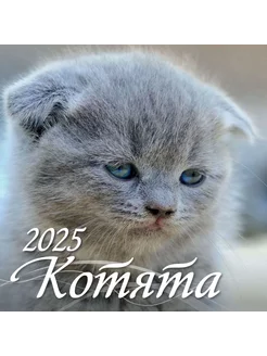 Календарь настенный на 2025 285х285 "Котята"