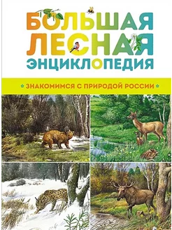 Большая лесная энциклопедия. Знакомимся с природой России