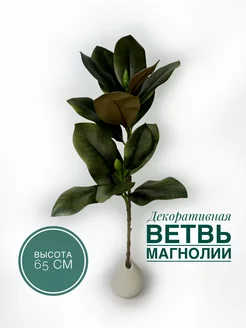 Ветка магнолии Ветка фикуса Зелень декоративная