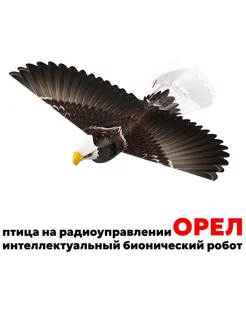 Орел на радиоуправлении Go Go Bird 235626773 купить за 10 582 ₽ в интернет-магазине Wildberries