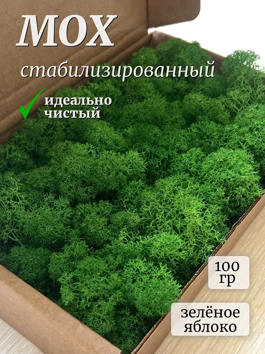 SPECIALGREEN Мох стабилизированный ягель 100 гр зеленое яблоко