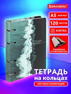 Тетрадь на кольцах А5 в клетку со сменным блоком, 120 листов Brauberg 235740511 купить за 296 ₽ в интернет-магазине Wildberries