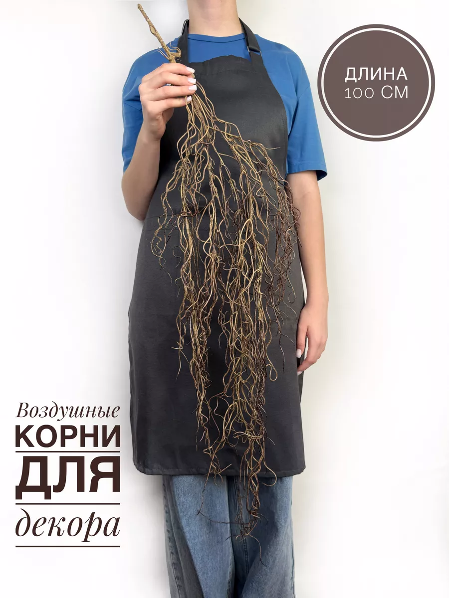 Папоротник свисающий/суккулент ампельный/корни для декора