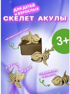 Скелет Акула игрушка антистресс