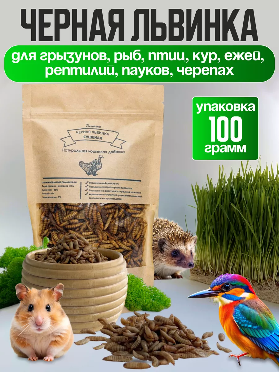 Черная львинка лакомство...