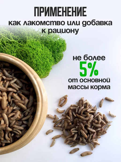 Хитрый крыс Гаммарус крупный алтайский для рыб черепах птиц 40 гр, 100 г, фото 5