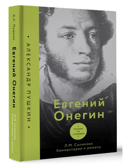 Евгений Онегин. Читаем со словарем. Комментарии к роману