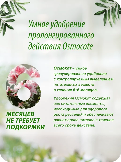 Florika Цветочный грунт для комнатных растений универсальный 7,5л, 7,5 л, фото 6