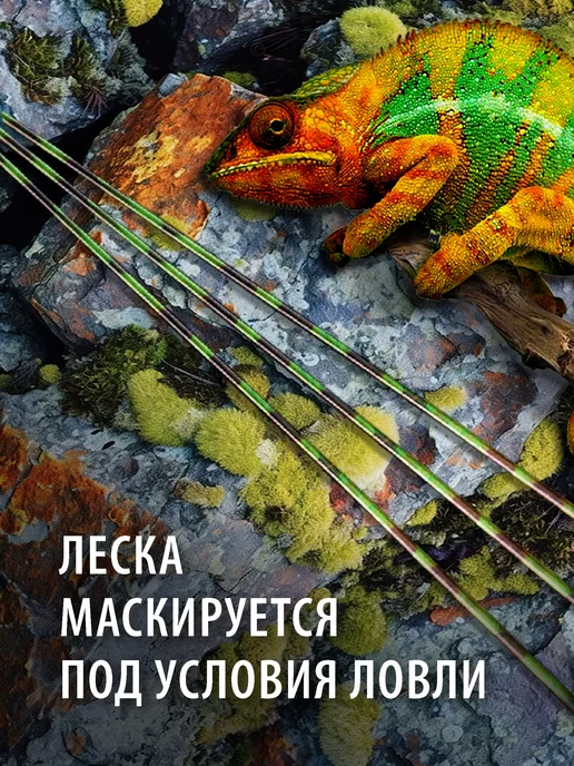 EVOLUTION Леска рыболовная 3д 300м. для рыбалки 0.30 мм, 300 м, фото 8