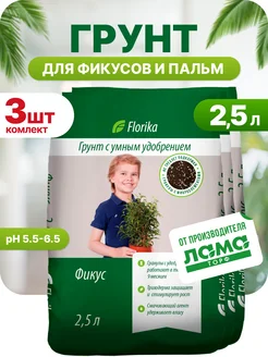 Грунт для фикусов и пальм, 2,5 л 3 шт