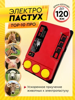 Электропастух ТОР-10 ПРО для коров, овец, свиней, лошадей