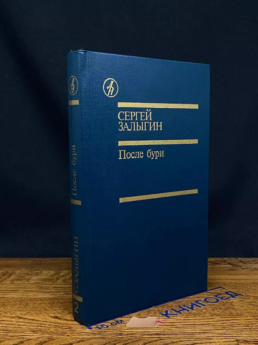 После бури. Книга 2