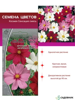 Космея "Сенсация" смесь