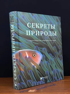 Секреты природы