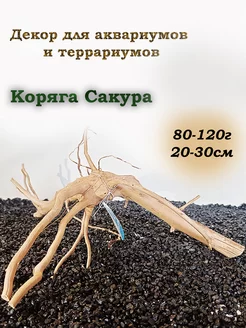 Коряга для аквариума Сакура 80-120гг Prime 236181128 купить за 541 ₽ в интернет-магазине Wildberries