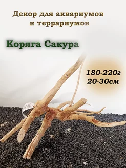 Коряга для аквариума Сакура 180-220г Prime 236181130 купить за 714 ₽ в интернет-магазине Wildberries