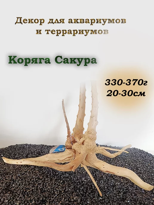 PRIME Коряга Сакура S см (упаковка 25кг +/-5%) - Натуральные коряги Prime - Биосалон