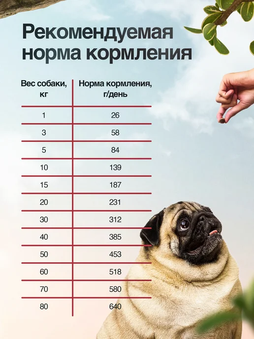 Сухой корм BLITZ Диетический для собак, индейка, 1,8 кг, фото 6