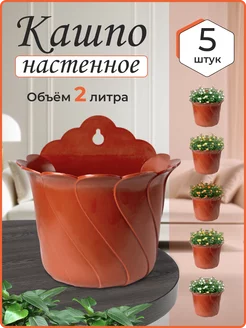 Кашпо настенное - 5 штук RostOk 236191498 купить за 766 ₽ в интернет-магазине Wildberries